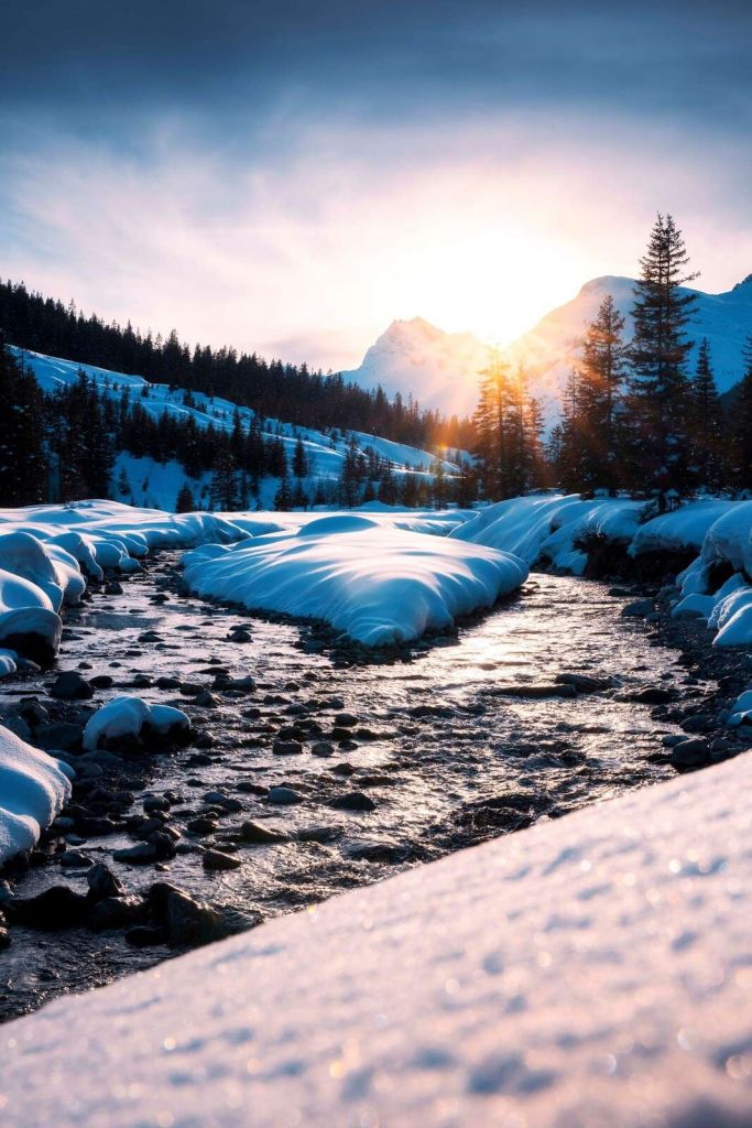 Bergbeek dans la lumière dorée de l'hiver