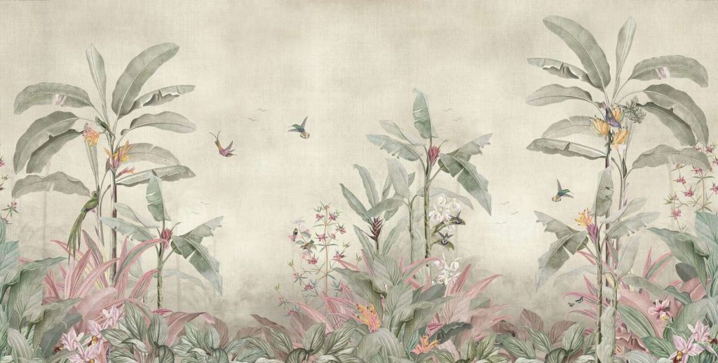 Colibris entre les douces feuilles de bananier