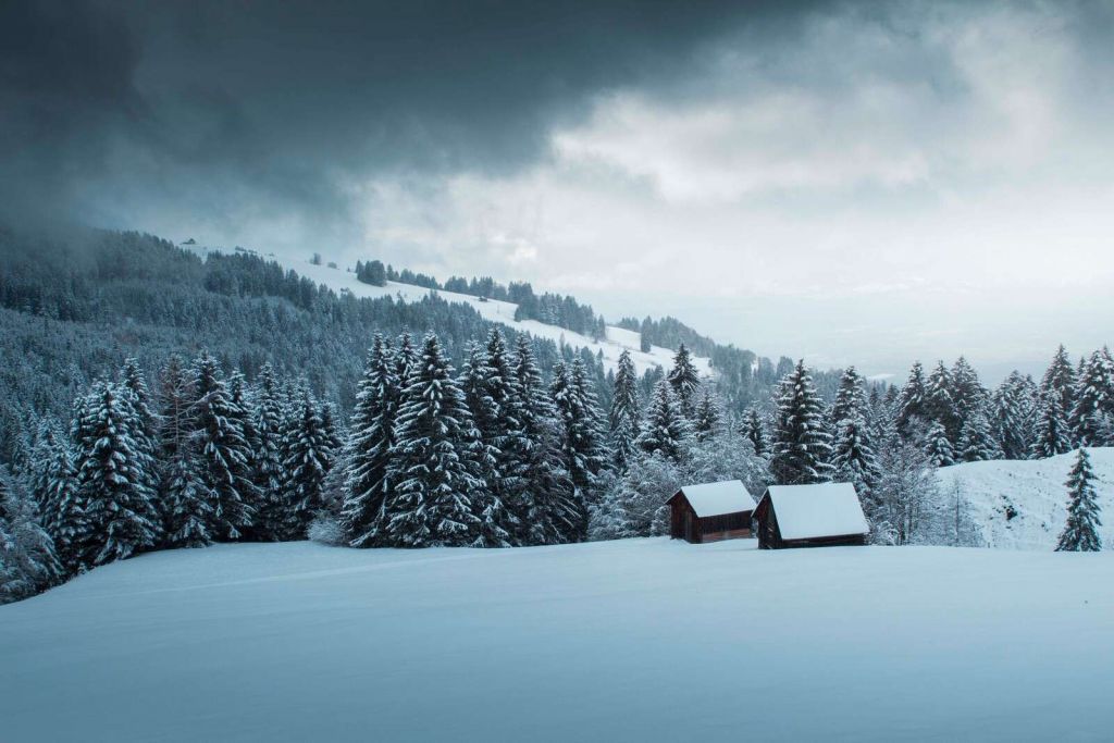 Forêt de sapins enneigée avec des cabanes en bois.