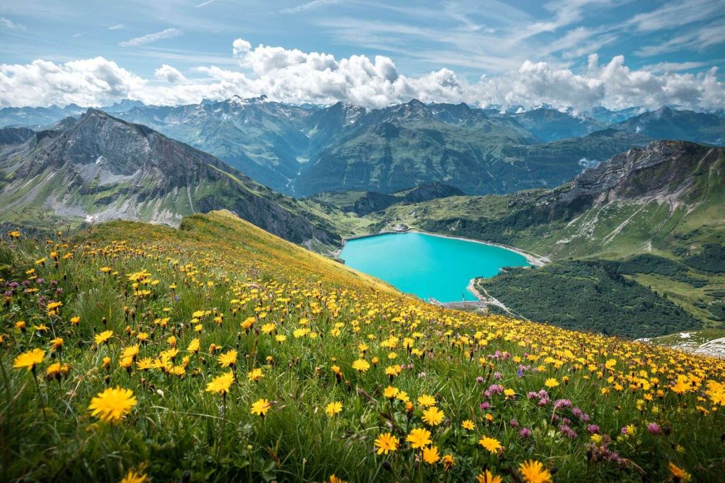 Champ de fleurs au-dessus d'un lac de montagne turquoise