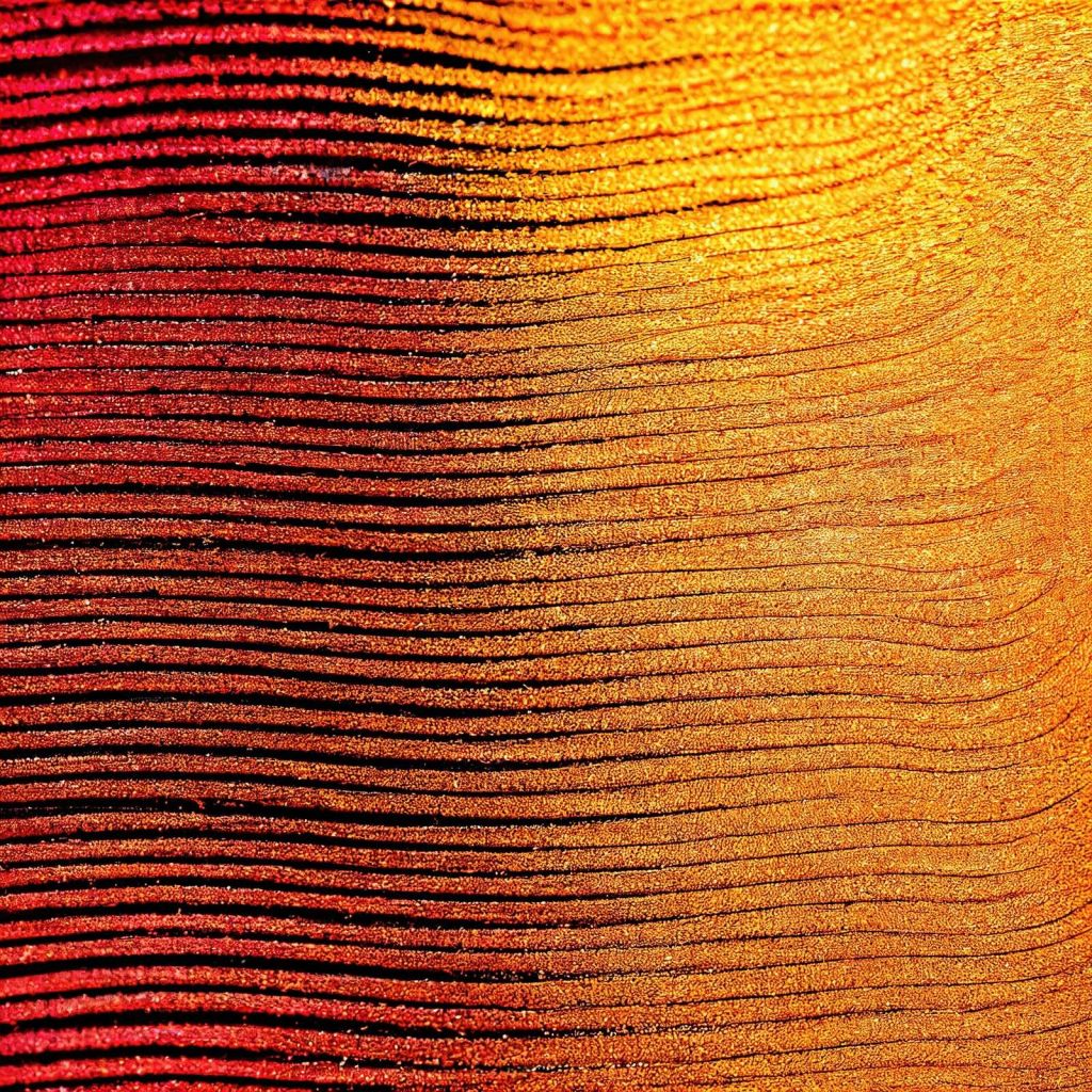 Fleur de safran Macro Cobra