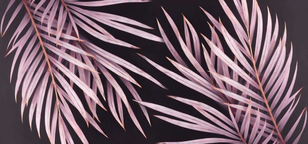 Feuilles de palmier douces en vieux rose