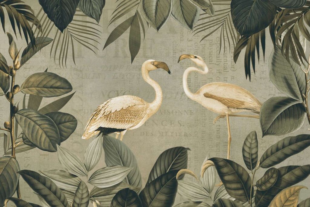 Oasis flamant vintage et ancien texte
