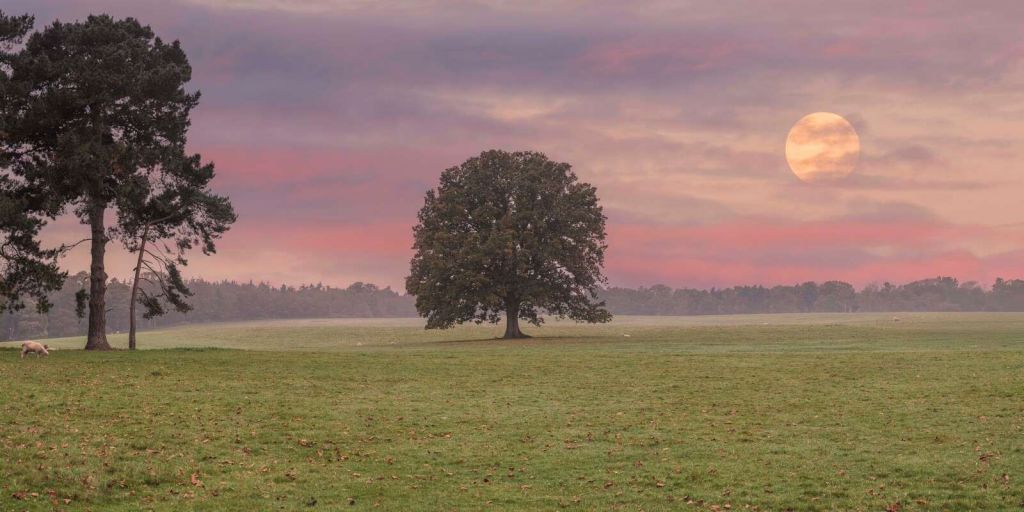 Lune au-dessus d'un paysage naturel silencieux