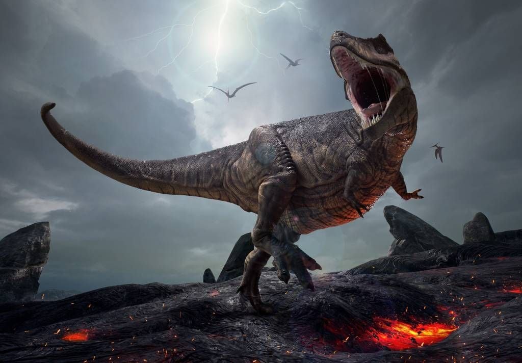 Dinosaures - Tyrannosaure Rex - Chambre d'enfants