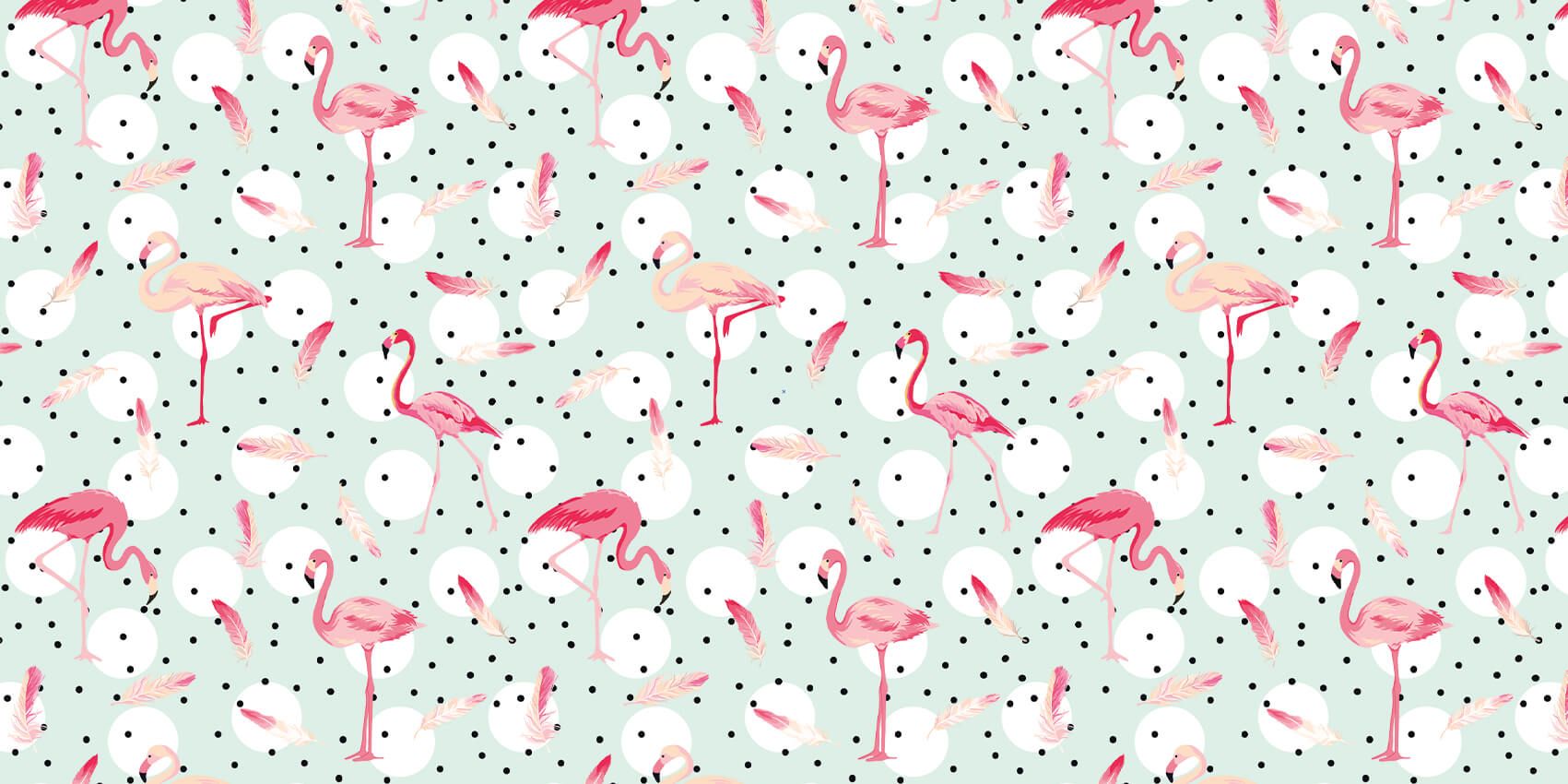 Flamants et plumes roses