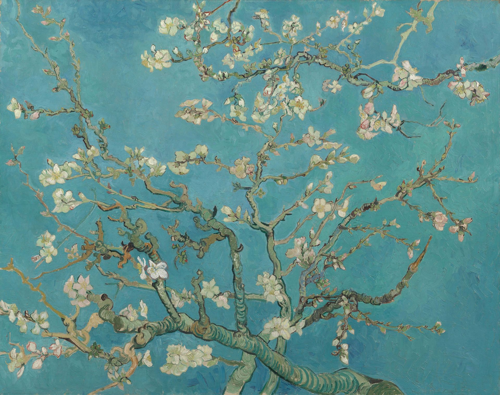 Papier peint 17140 Van Gogh en ligne