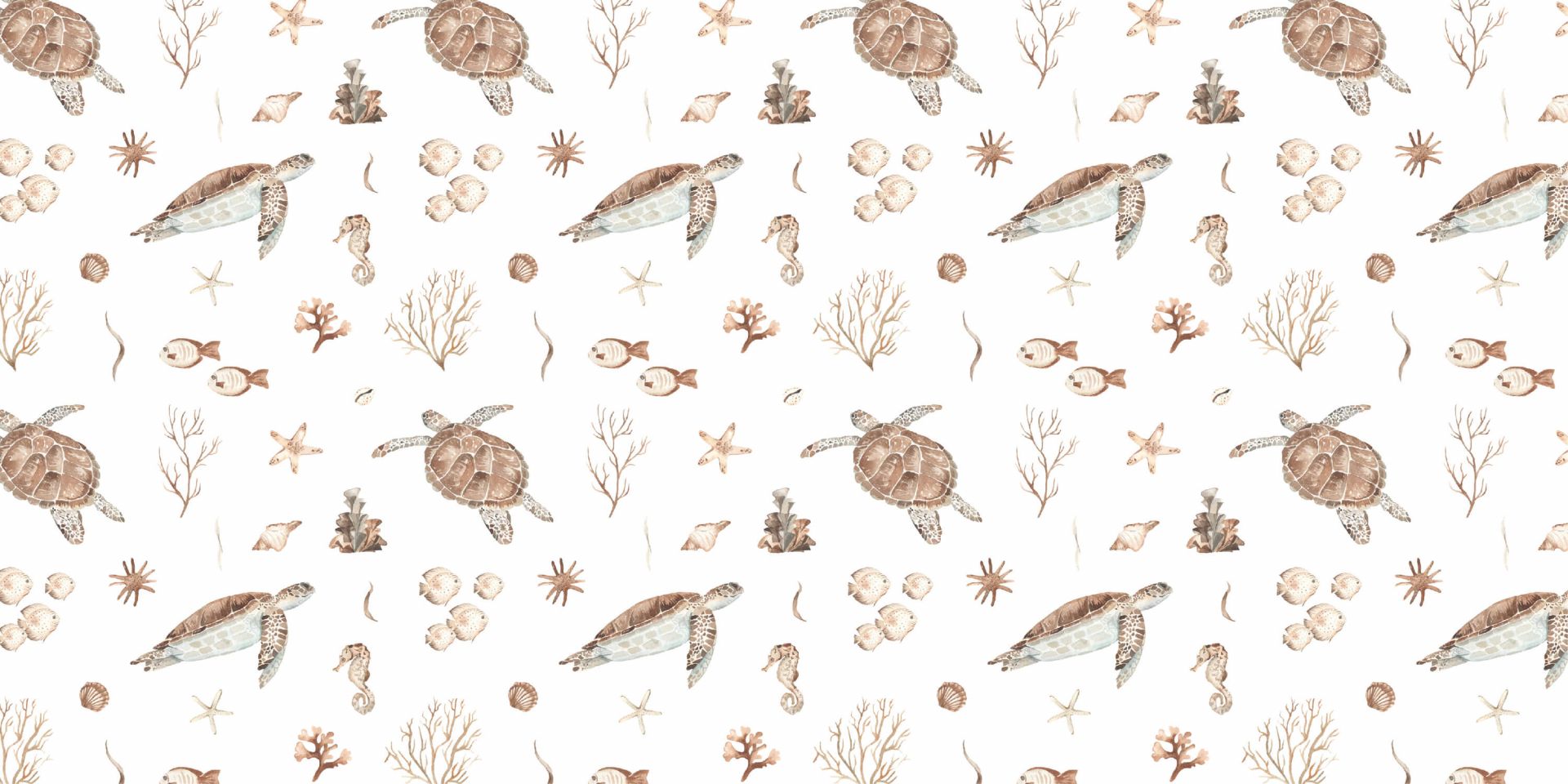 Coquillages et créatures marines