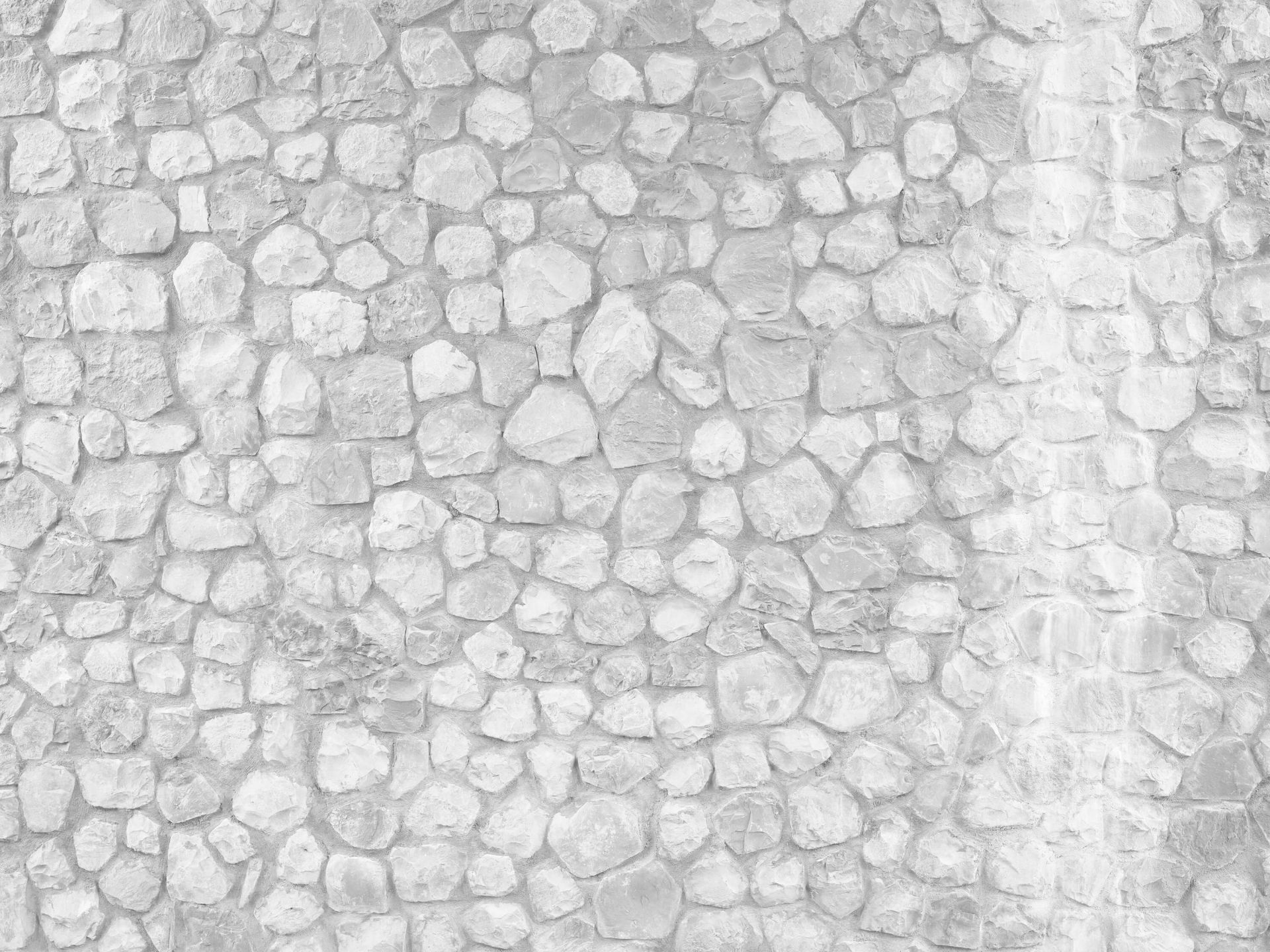Briques brutes blanches
