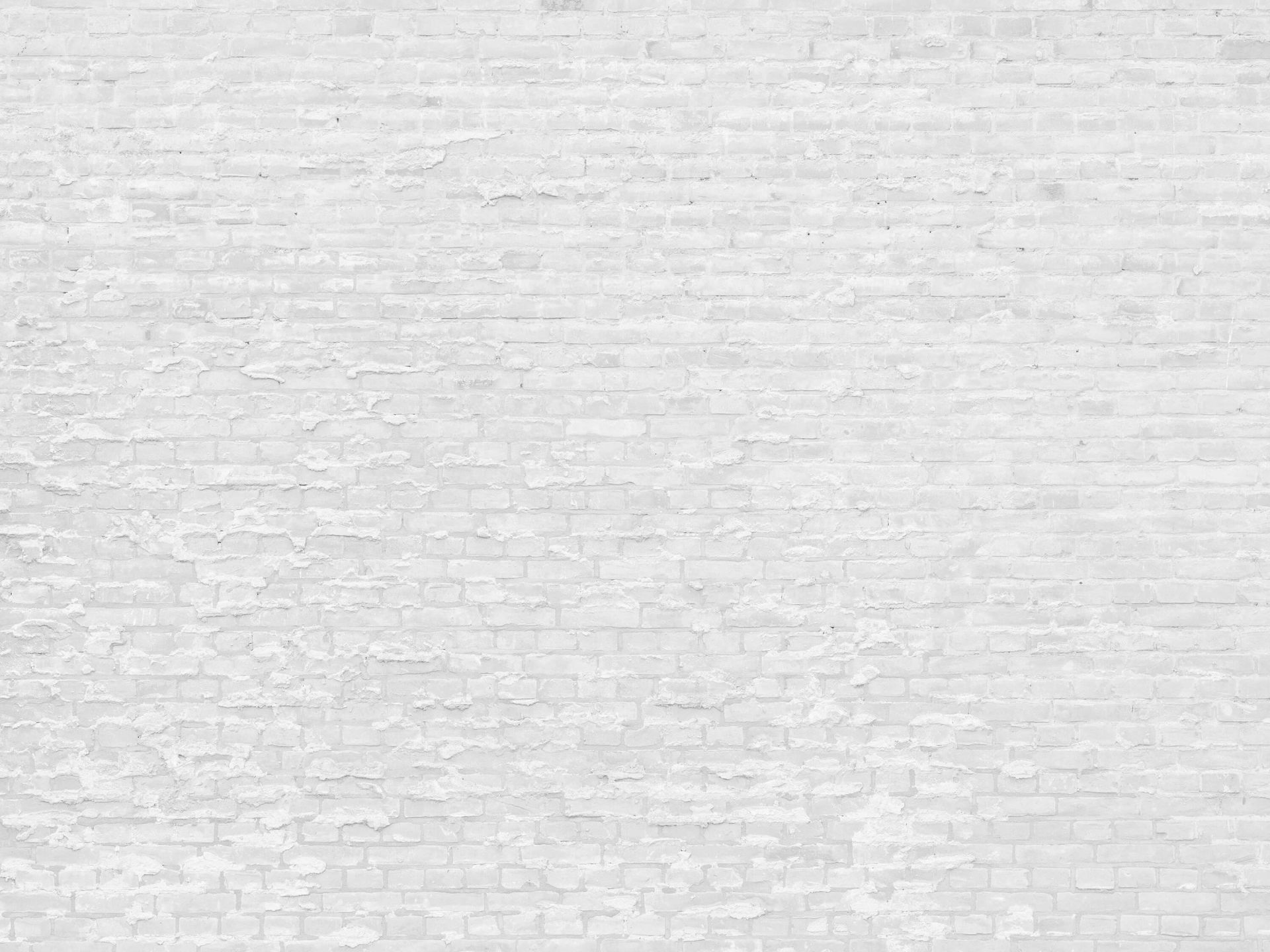 Briques blanches avec du ciment