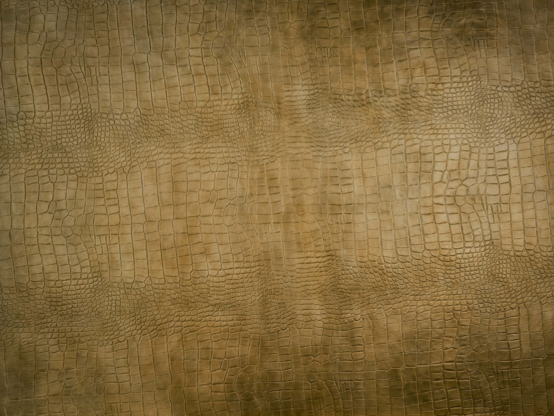 Crocodile texturé ocre jaune