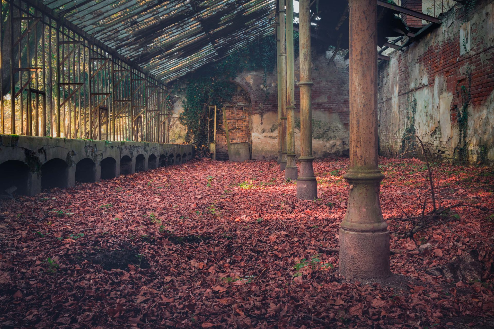 Maison abandonnée avec des feuilles