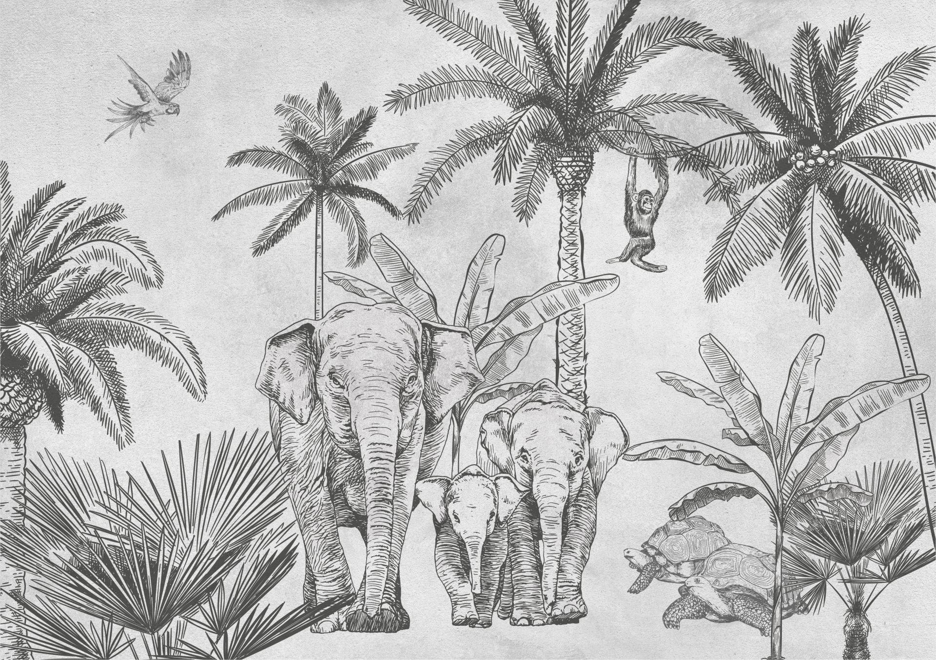 Éléphants gris