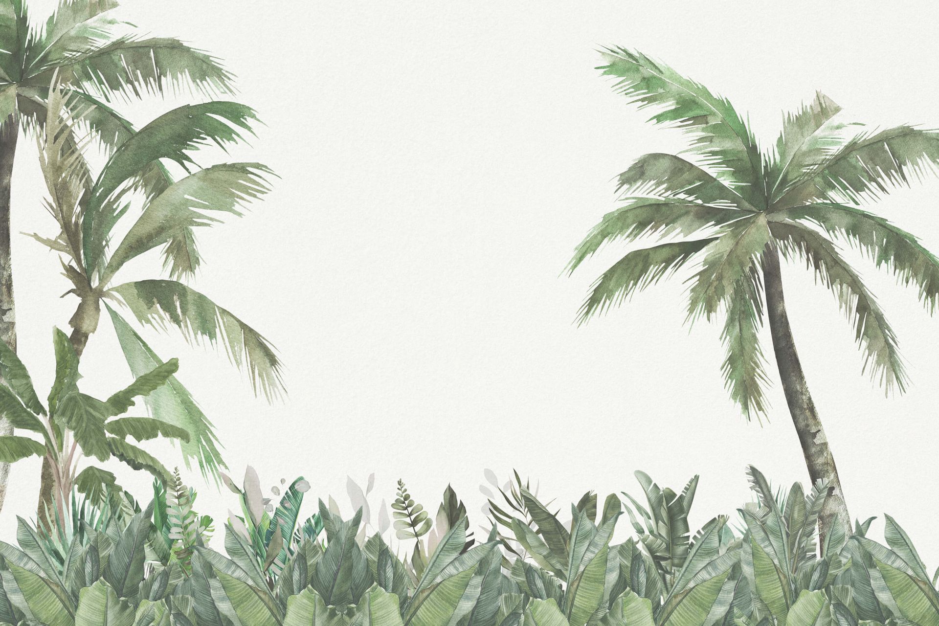 Arbres et plantes de la jungle