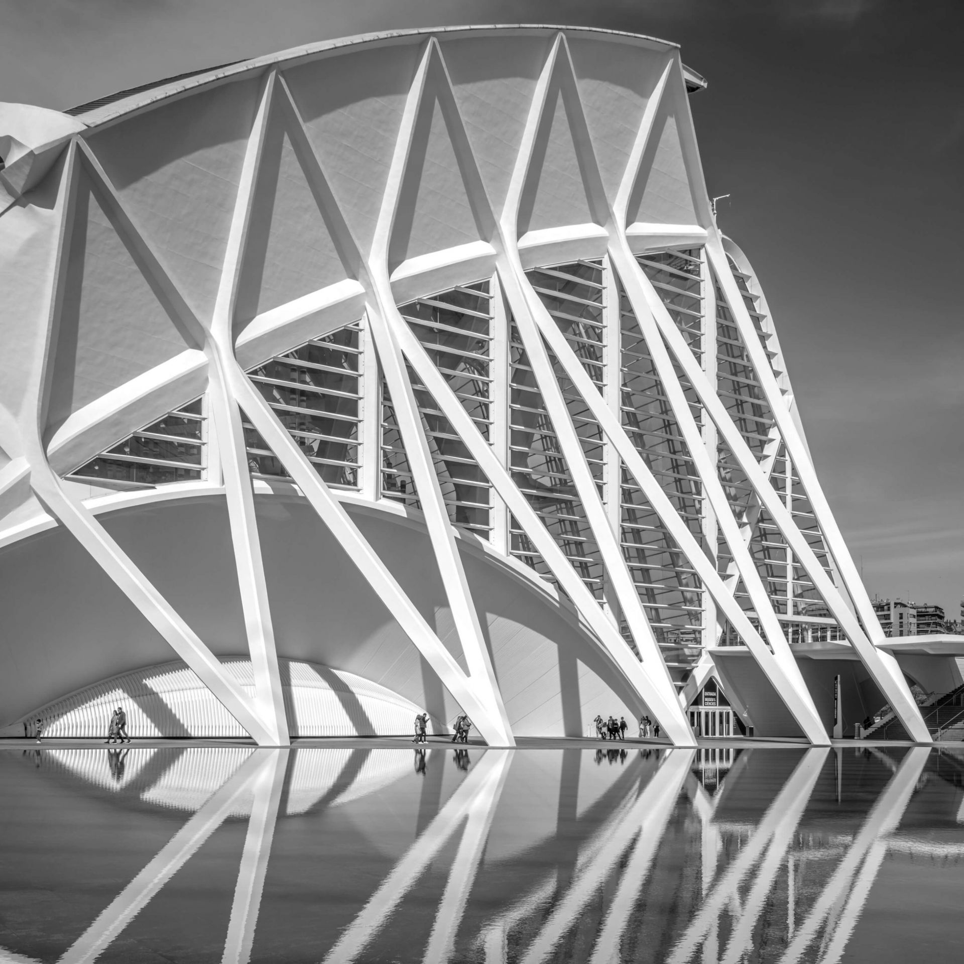 Musée des sciences - Museo de las Ciencas Principe Felipe - Valencia