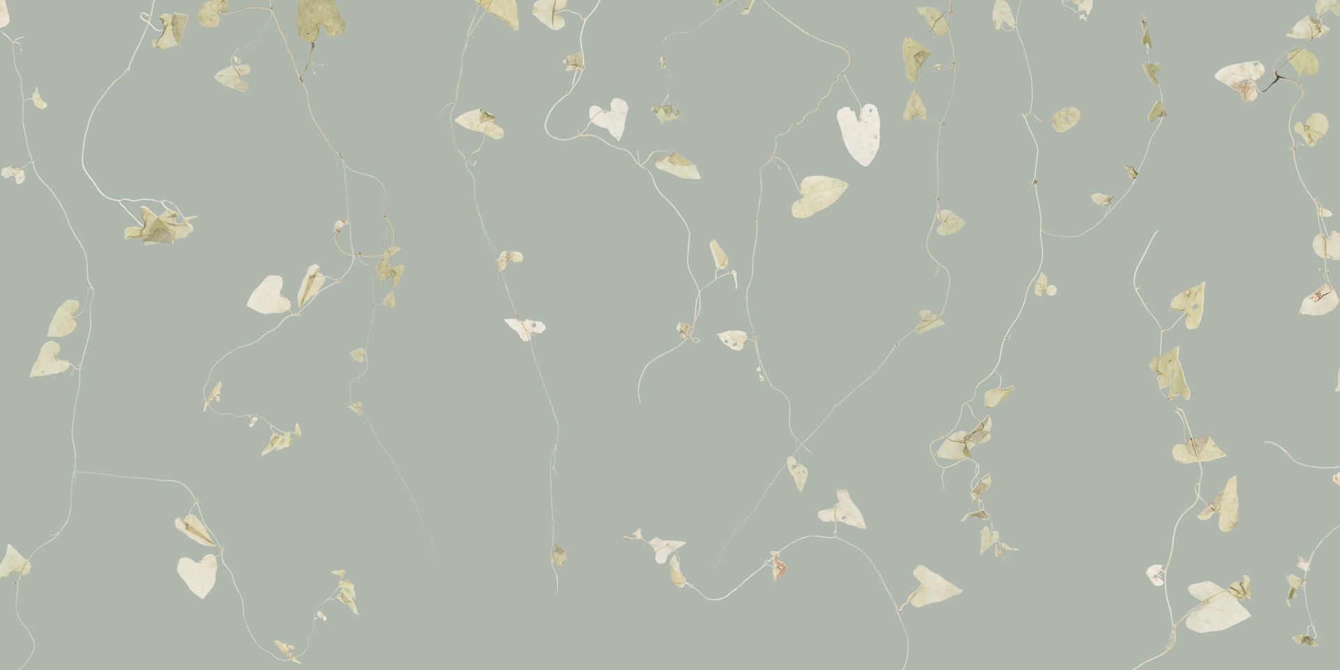 Branches d'aubépine gris vert