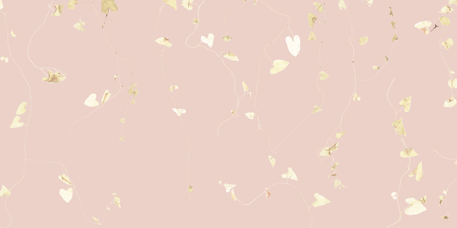 Branches d'aubépine