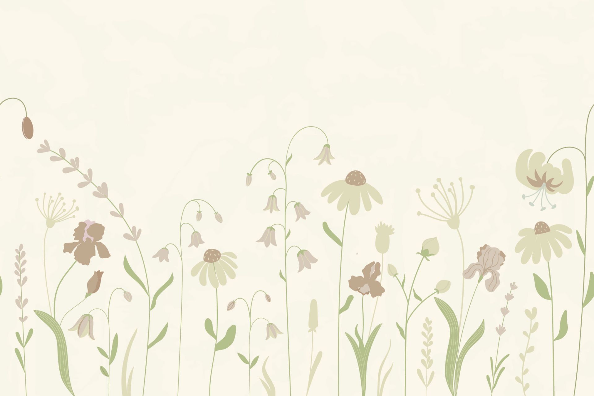 Champ de fleurs haut beige avec vieux rose