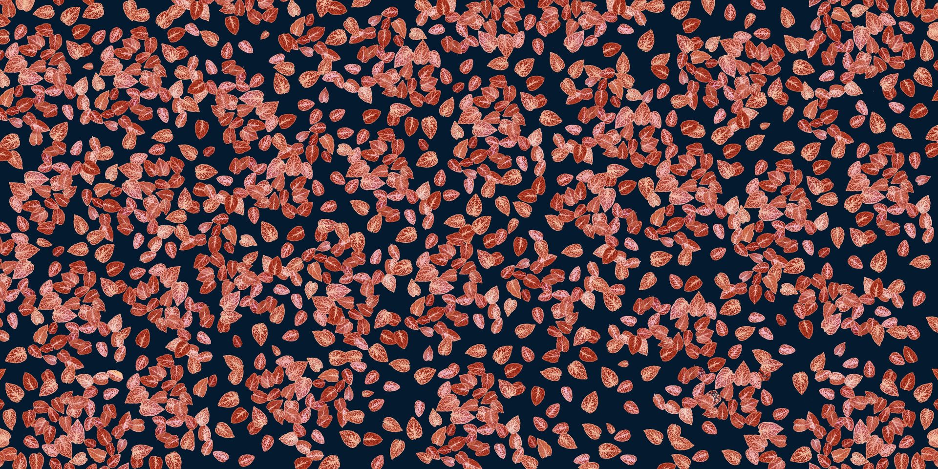 Petites feuilles rouille sur bleu nuit