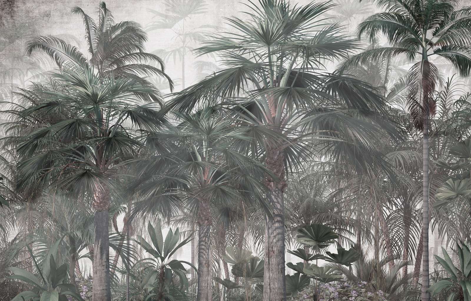 Sérénité Crépusculaire des Palmiers