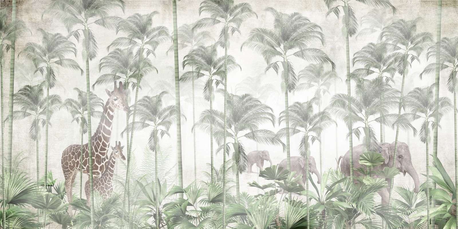 Aurore dans la Sauvage