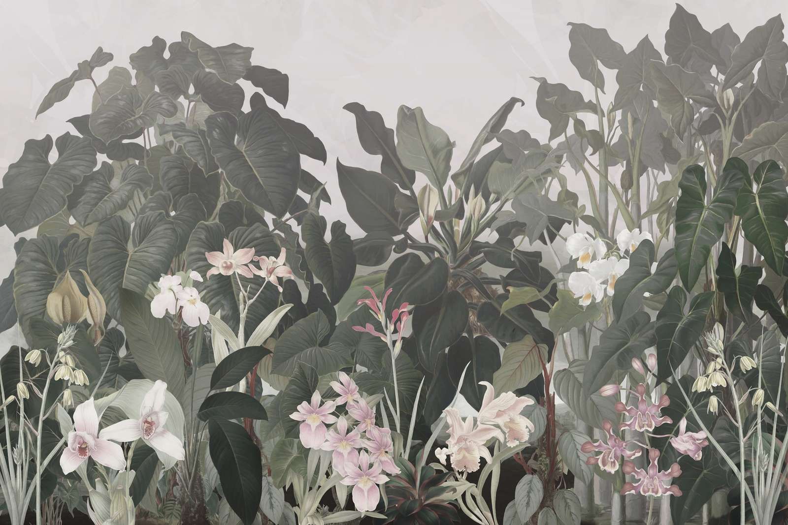 Walking to the Tropic 1