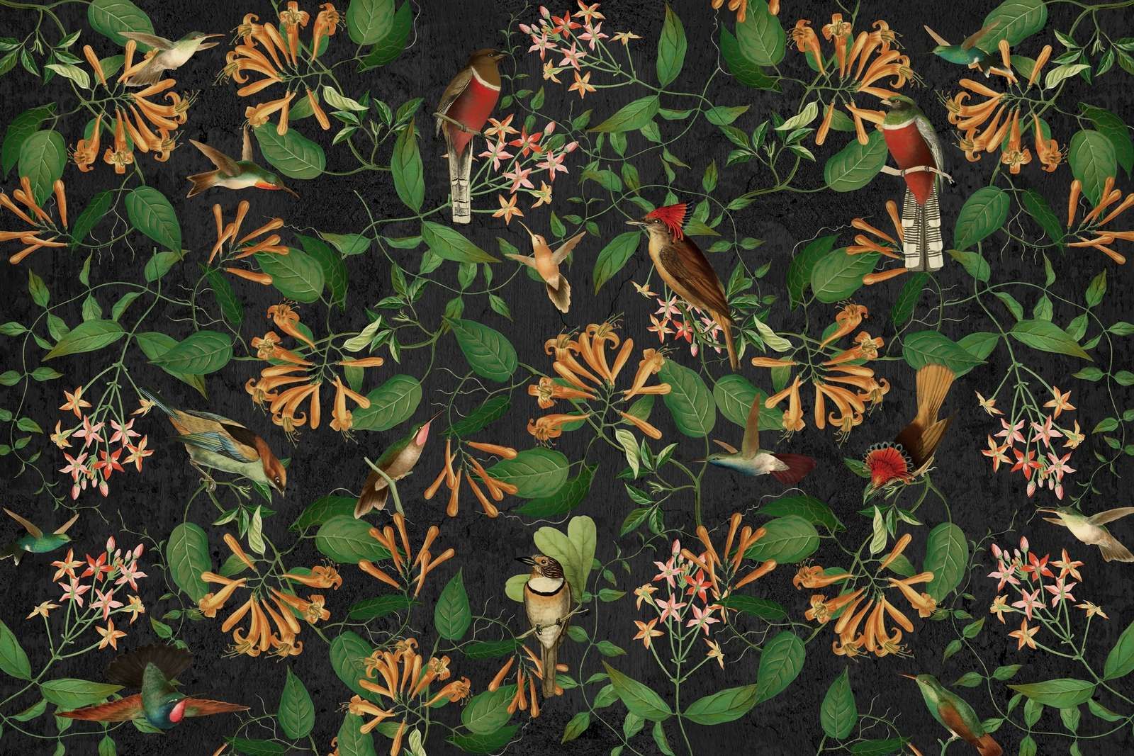 Mélodie du jardin de minuit