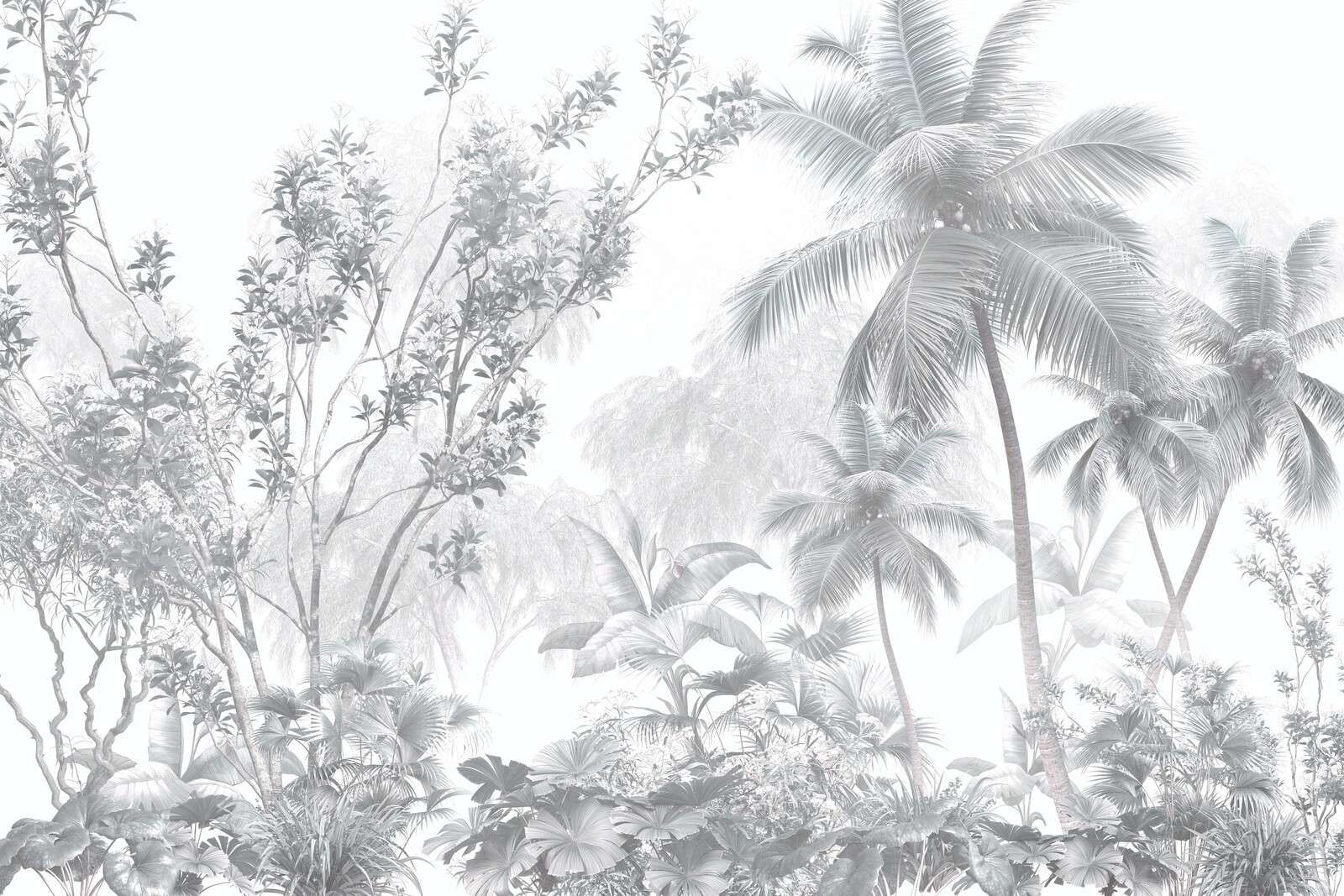 Palmiers de brume tropicaux