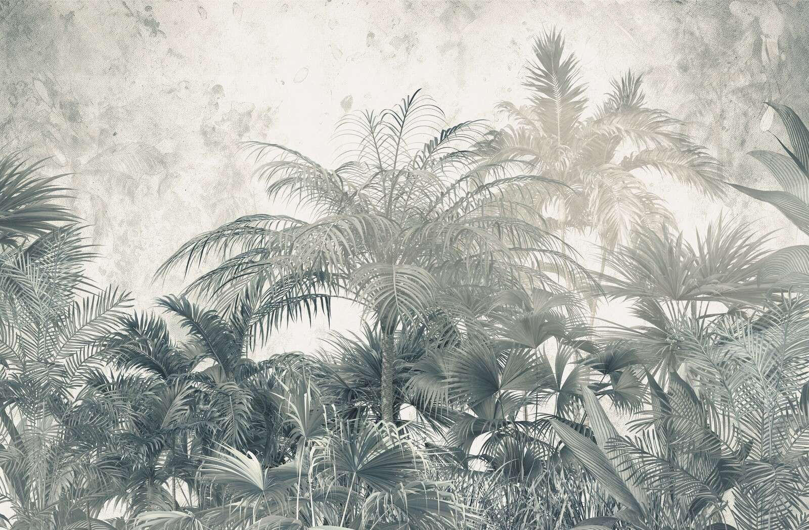 Forêt tropicale mystique