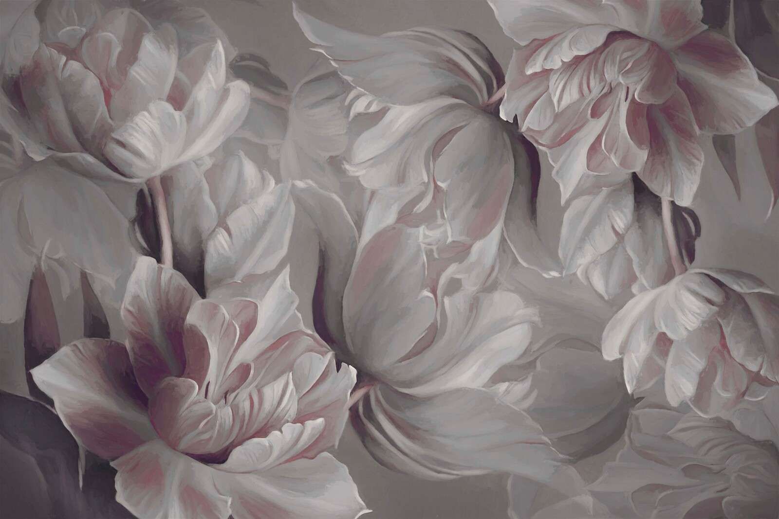 Grandes tulipes grises