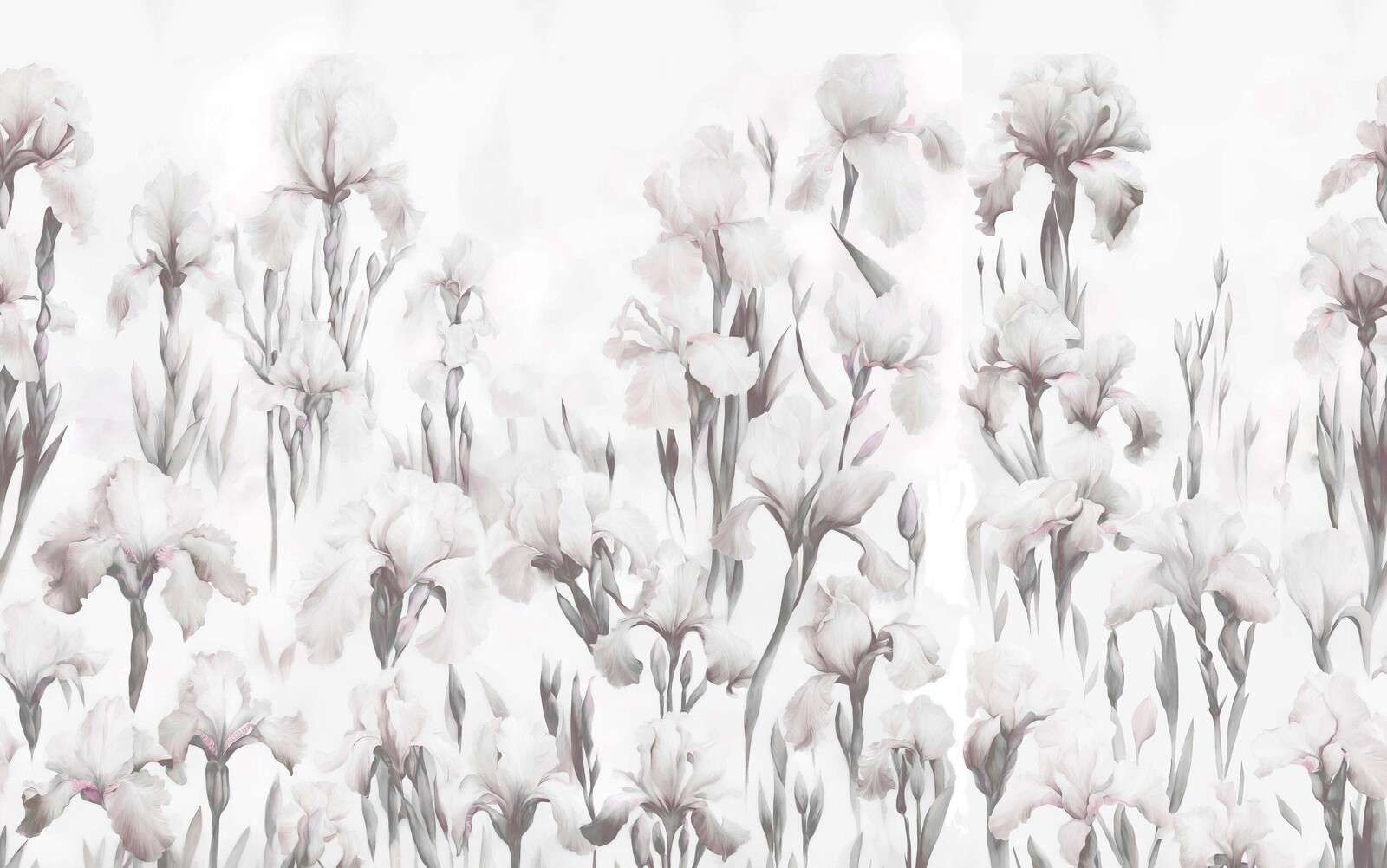 Les iris dansent un gris doux sans couture