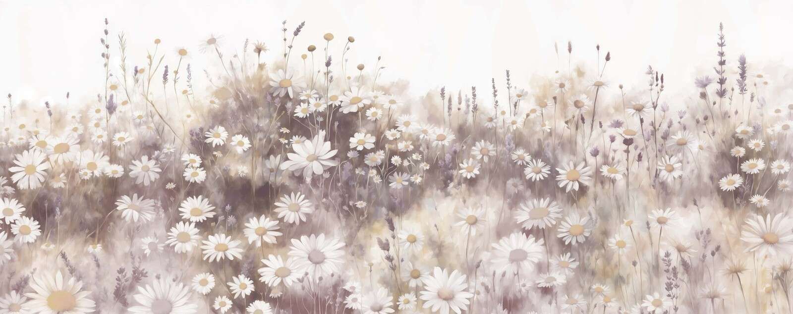 Prairie de Marguerites Silencieuses Rose