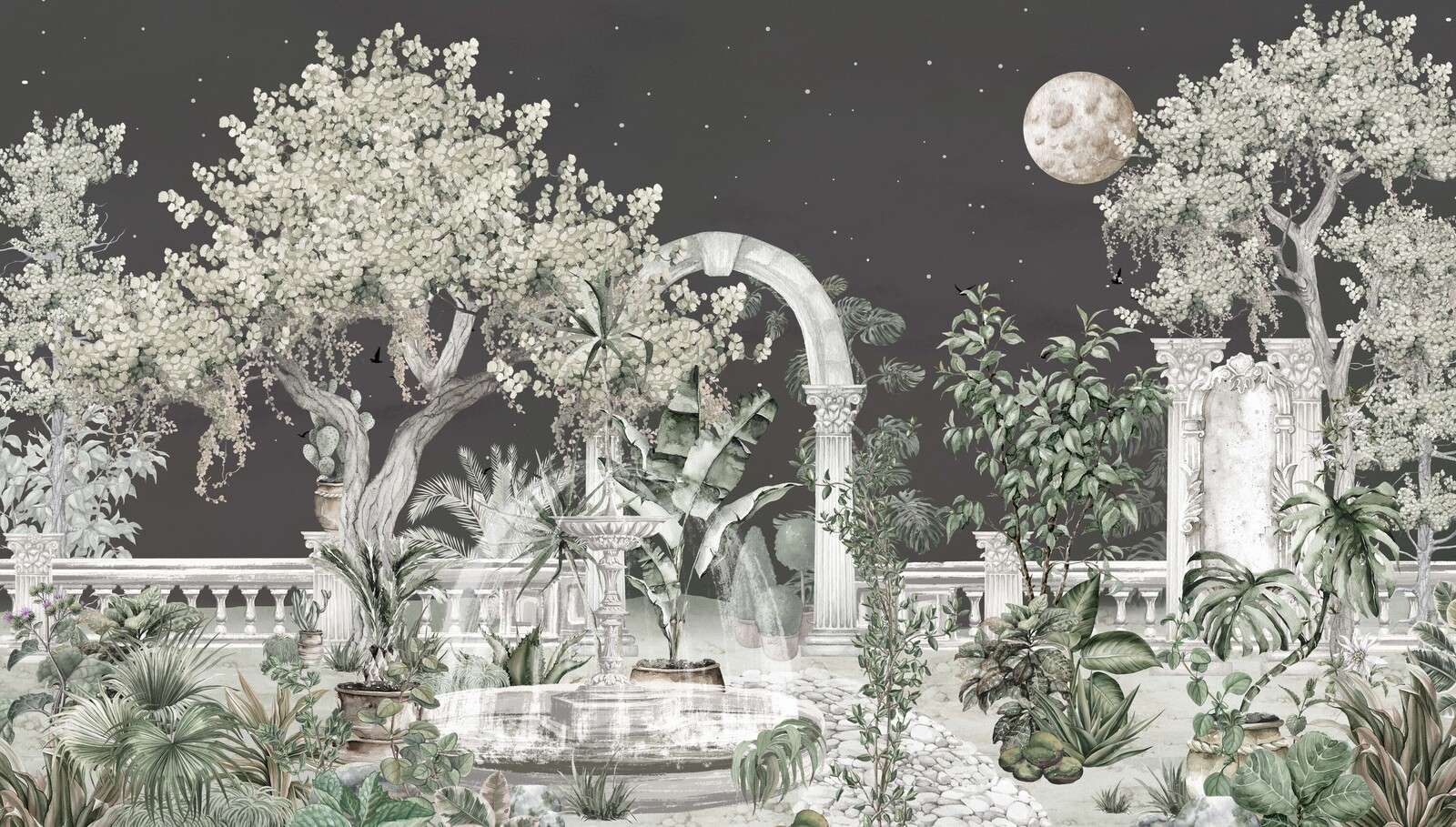 Jardin la nuit