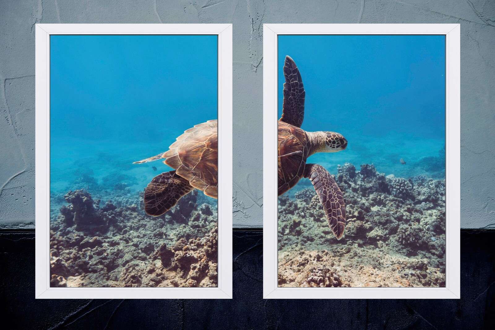 Tortue de mer au-dessus du récif corallien