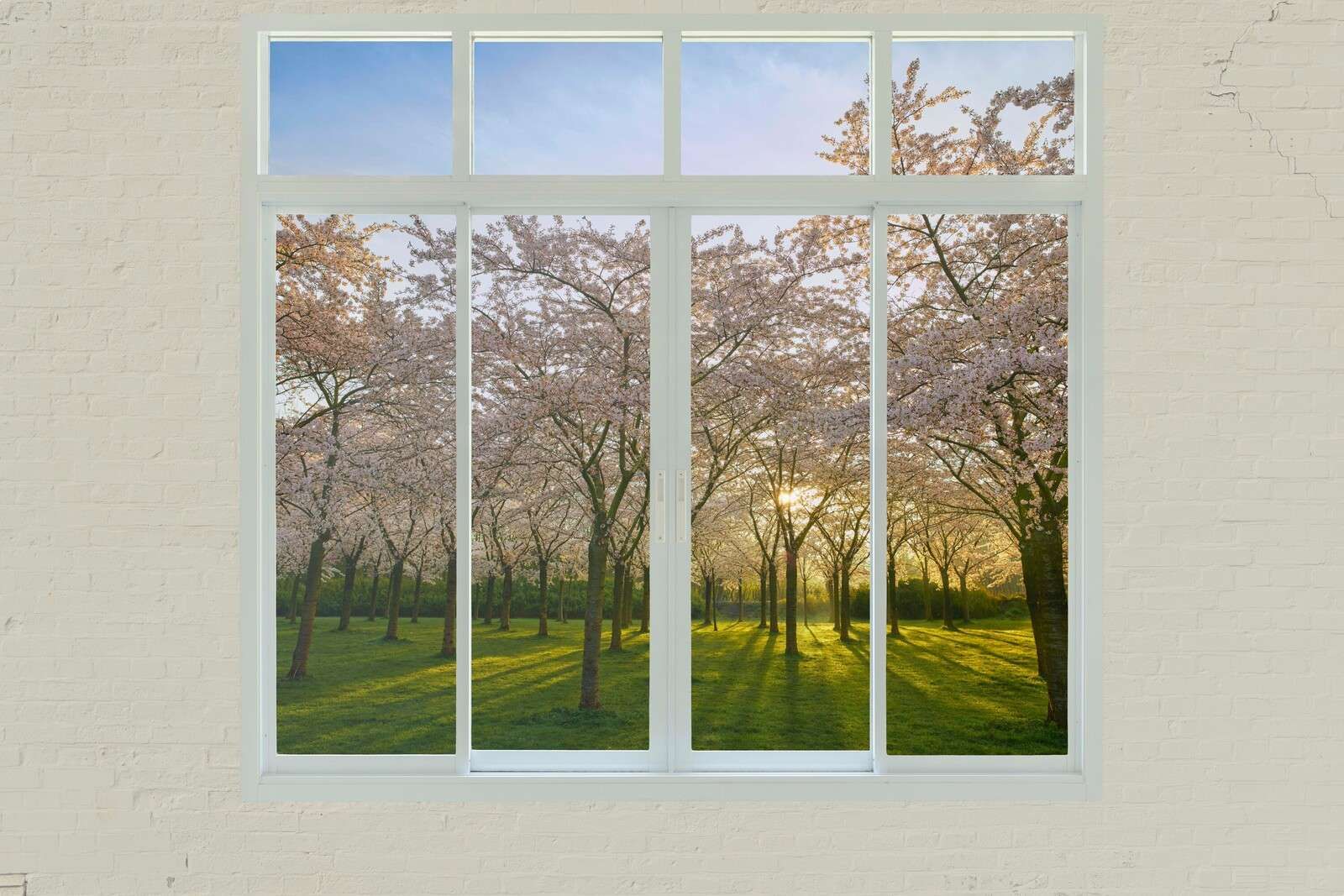 Bloesempark au soleil de printemps