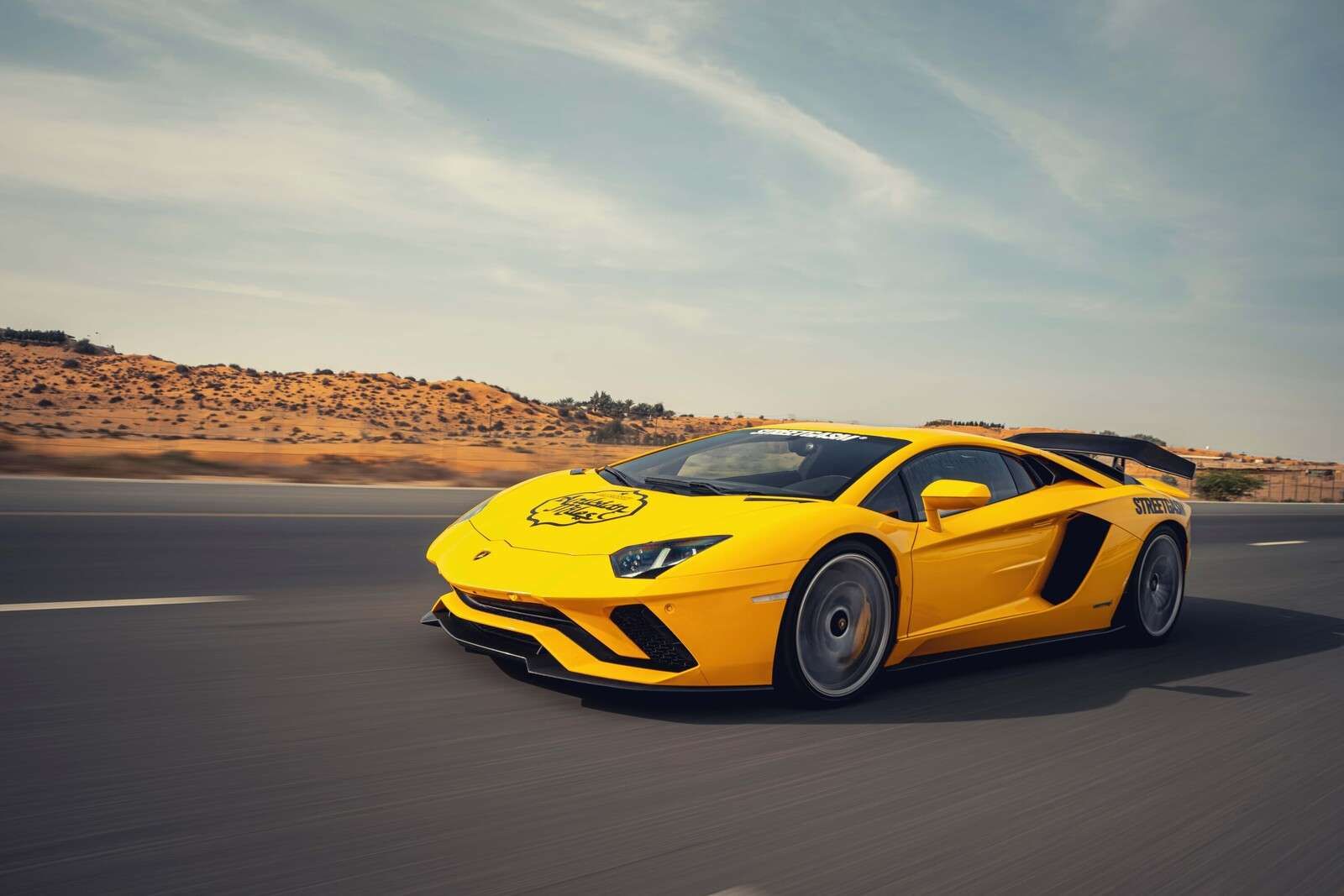 Lamborghini Aventador en action