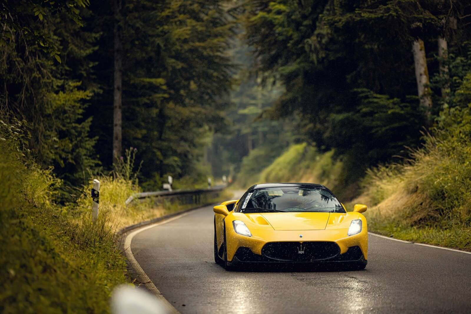 Maserati dans la forêt verte