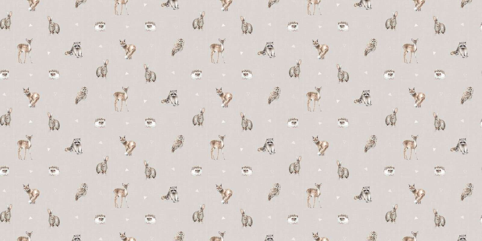 Amis de la Forêt Étape 01D