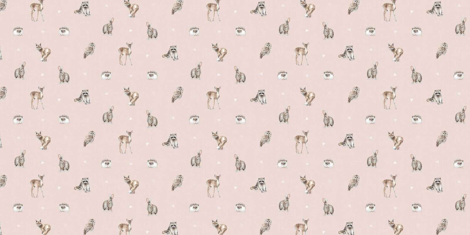 Amis de la Forêt Étape 01B