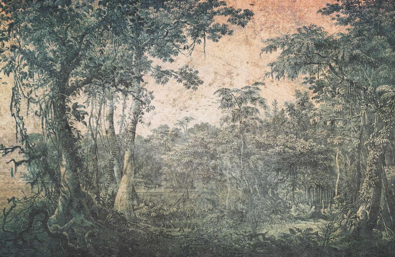 Panorama de forêt tropicale altérée