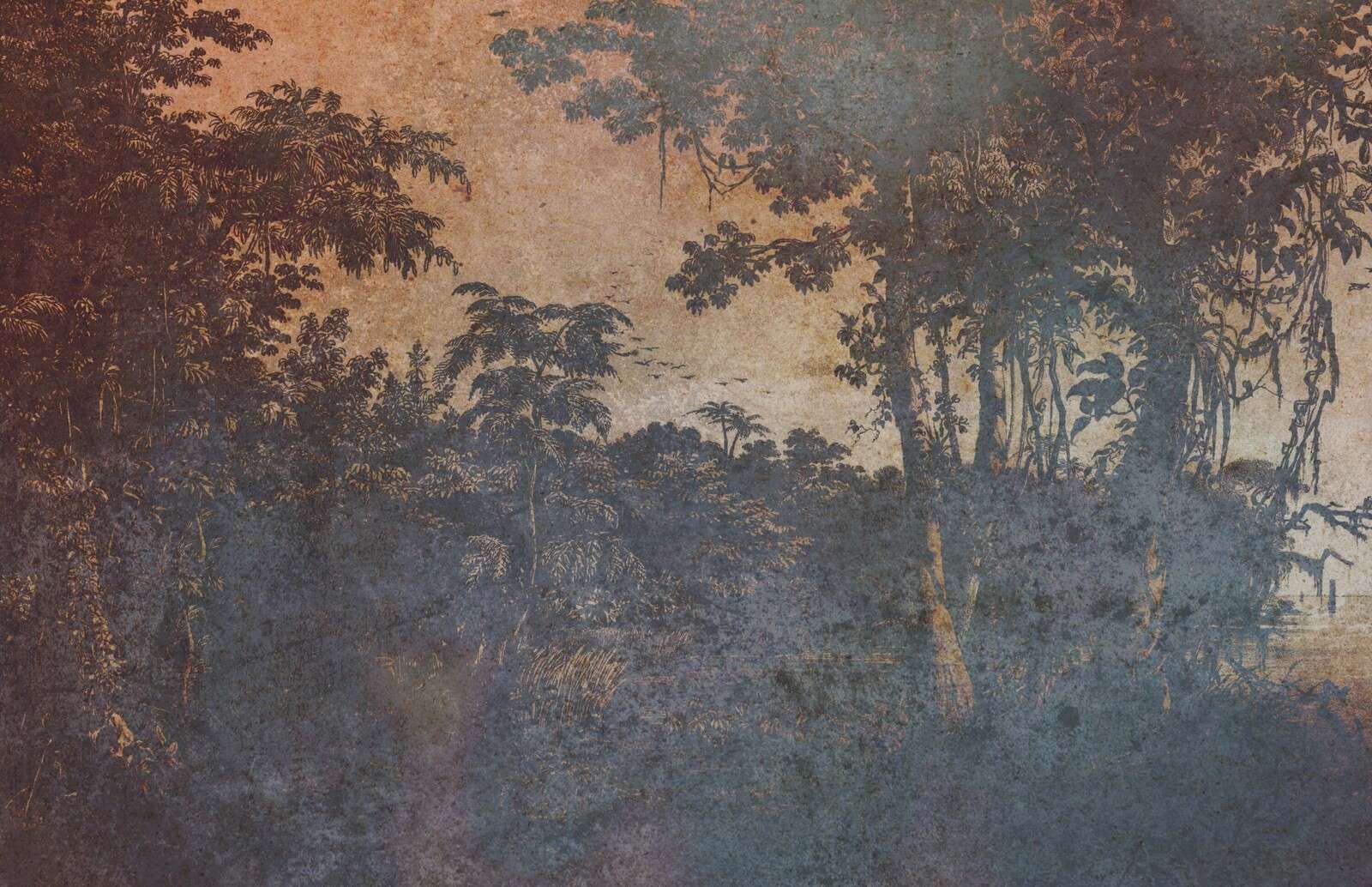 Jungle fanée dans la pénombre