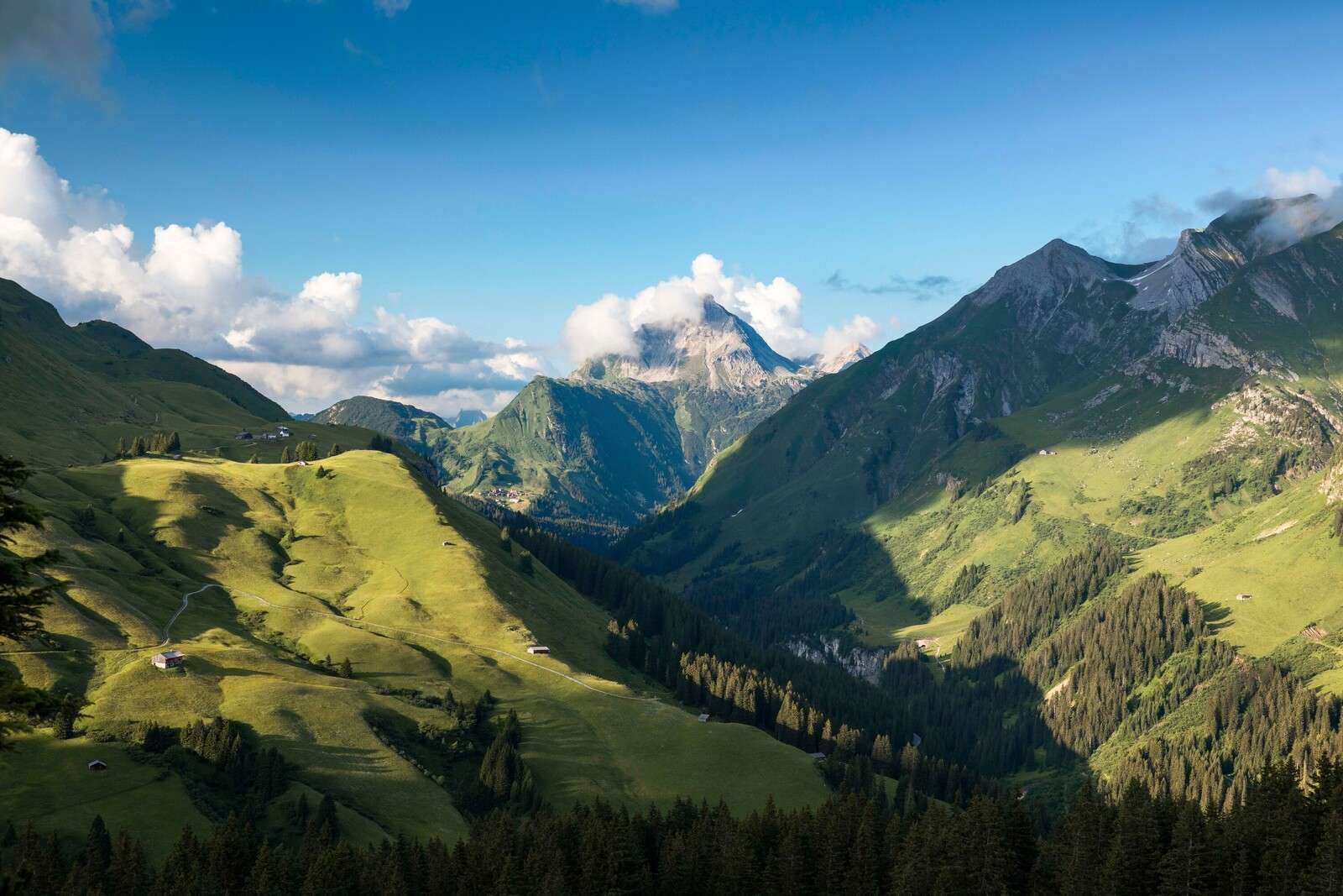 Lumière estivale sur une vallée alpine verdoyante