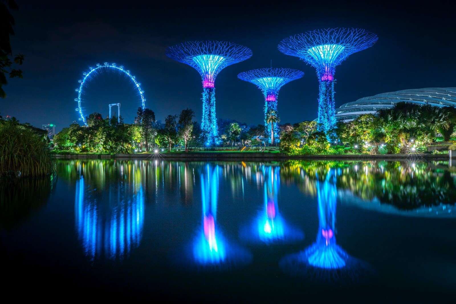 Arbres lumineux futuristes au bord de l'eau.