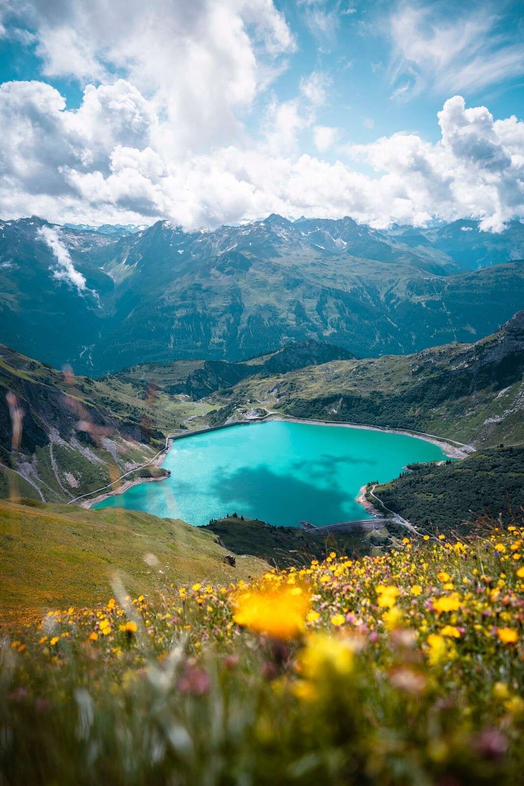 Champ de fleurs au bord d'un lac de montagne turquoise.
