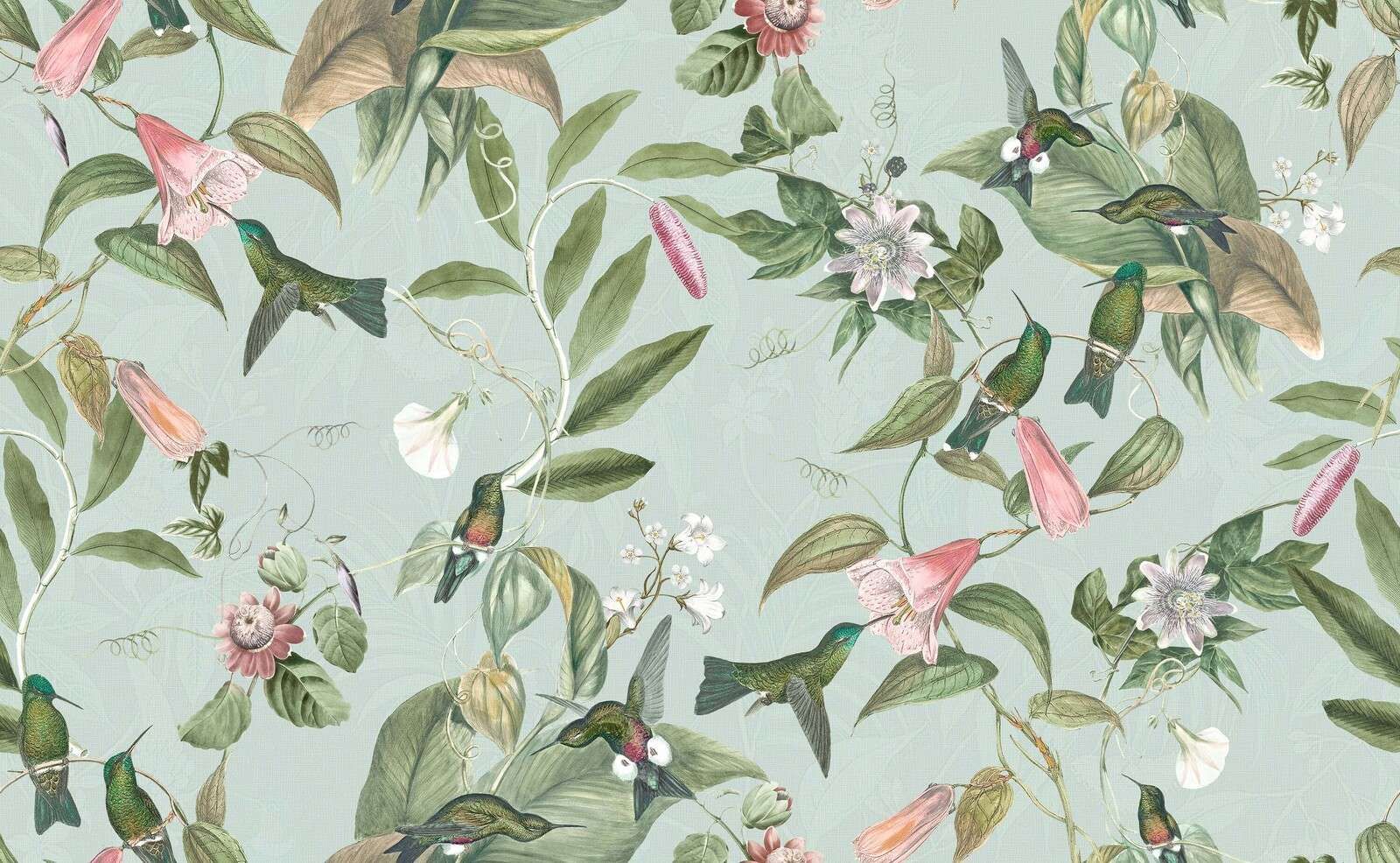 Colibris entre de tendres rameaux fleuris