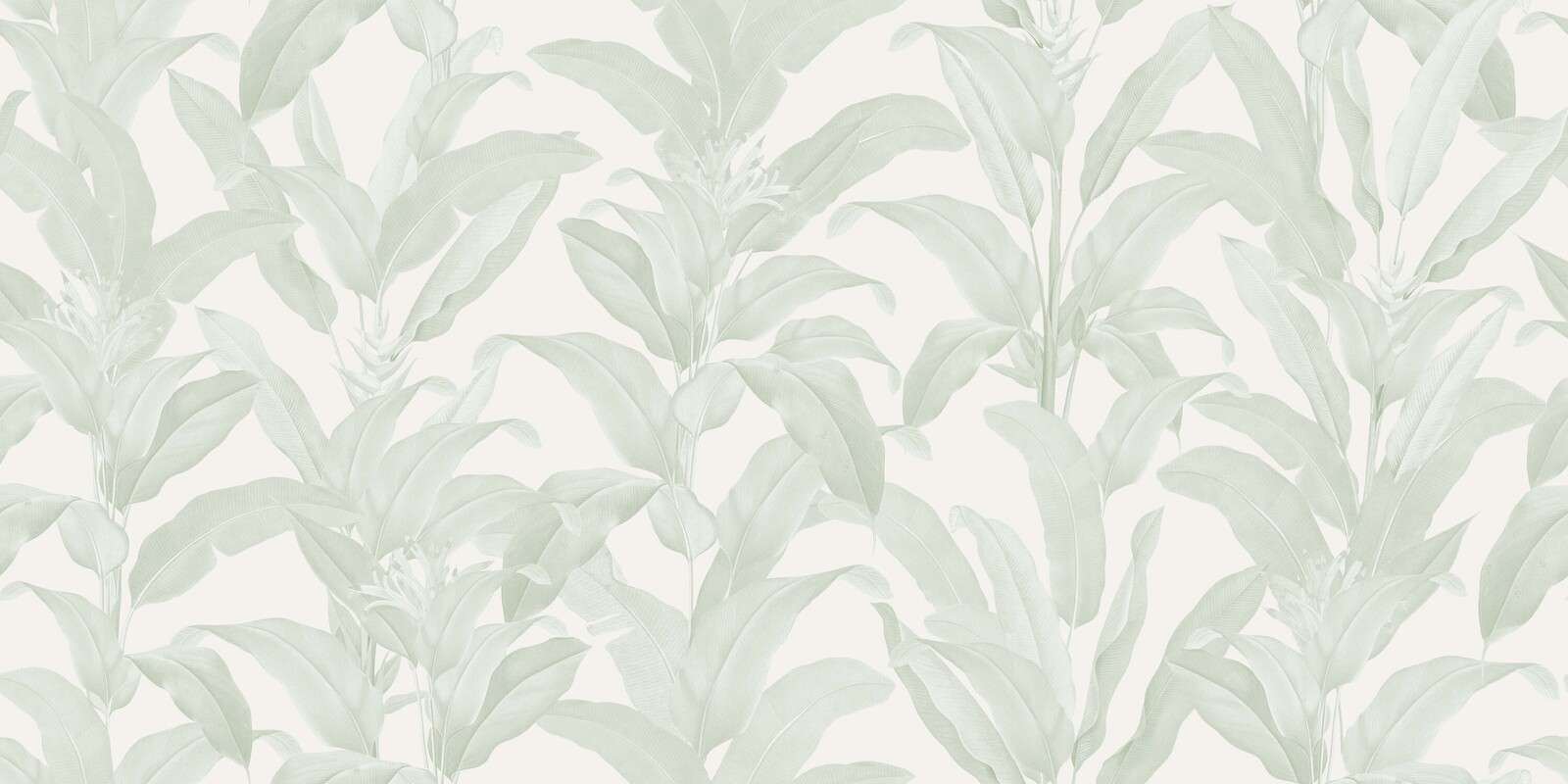 Feuilles tropicales douces en vert sauge