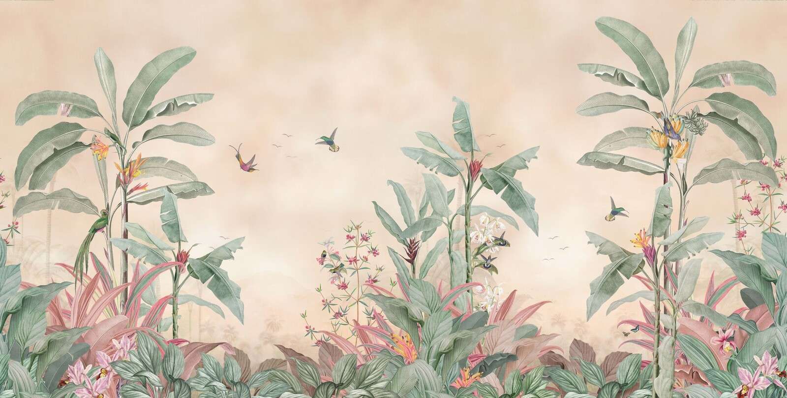Colibris tropicaux dans la forêt de bananes