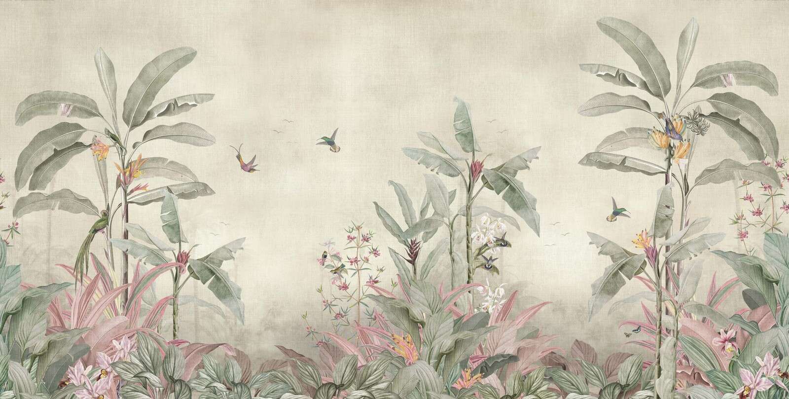 Colibris entre les douces feuilles de bananier
