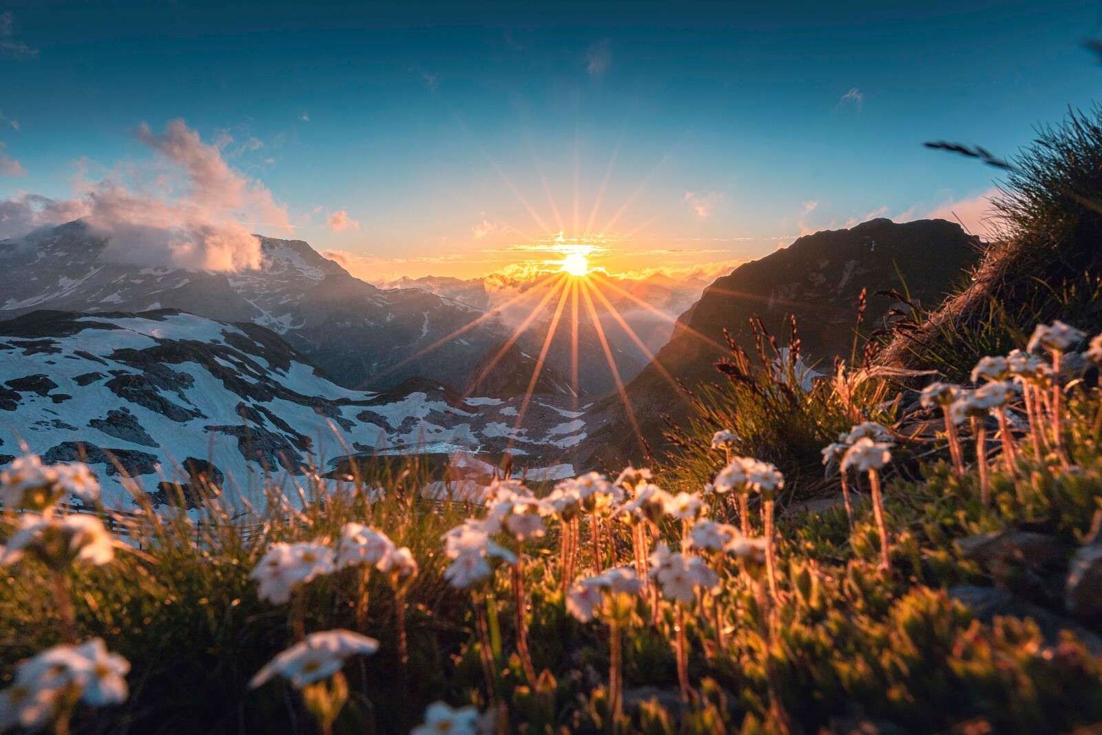 Lumière du soleil sur alpage alpin