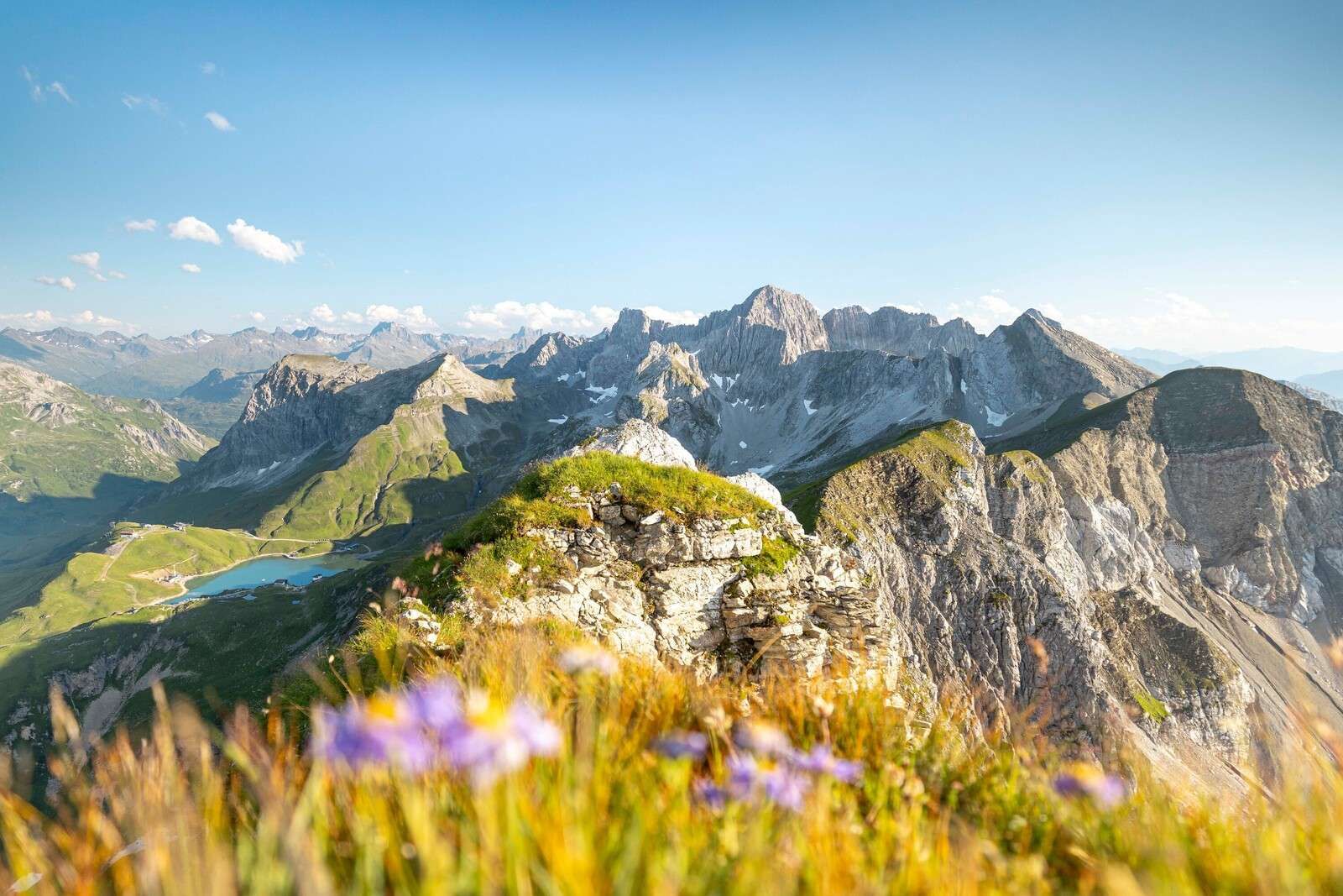 Sommets alpins estivaux avec des fleurs